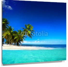 Lienzo Playa caribe con palmeras en calma